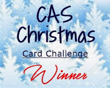 CAS Christmas Winner