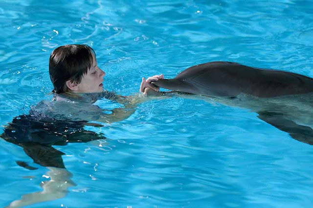  Dolphin Tale