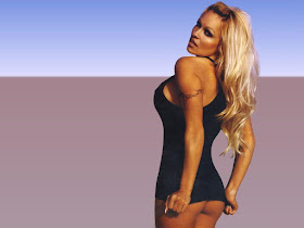 Pamela Anderson Hot Pics