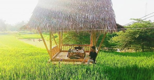 Bukit Air Resto Bogor Makan Diatas Kolam Ikan Dan Saung Tengah Sawah