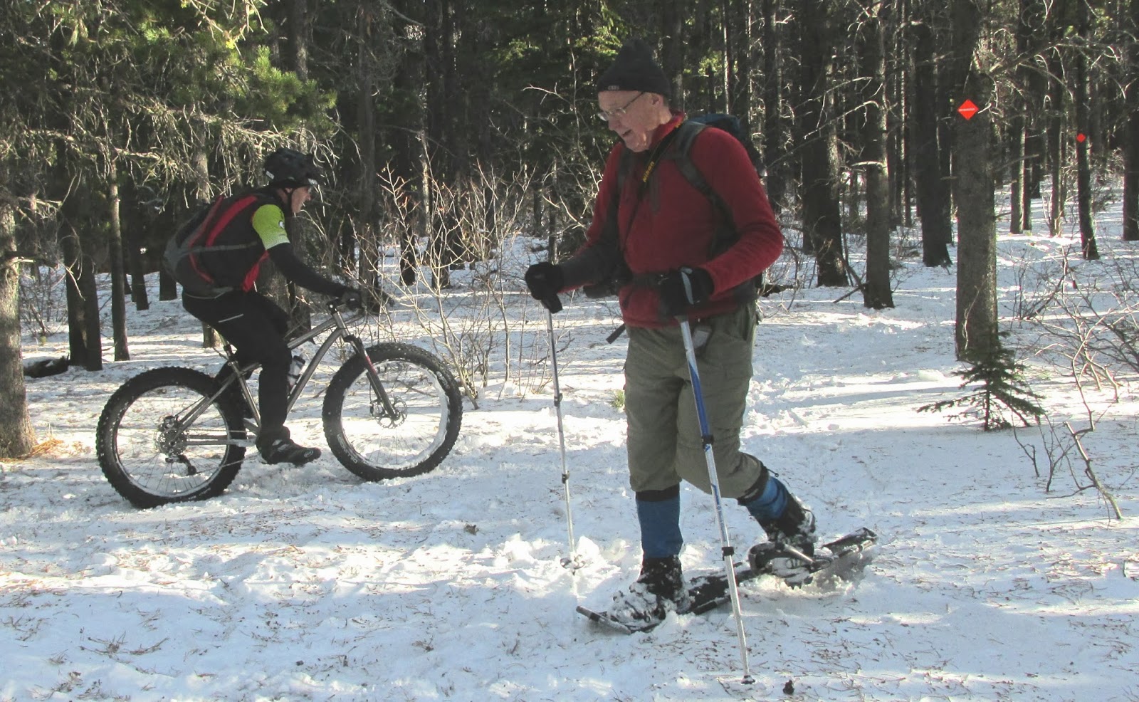 The Passionate Hiker: Ranger Hill Circuit