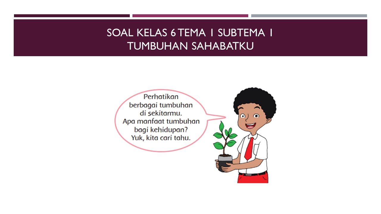 Soal Kelas 6 Tema 1 Subtema 1 Tumbuhan Sahabatku Edisi Revisi 2018 Kumpulan Soal Tematik Sd