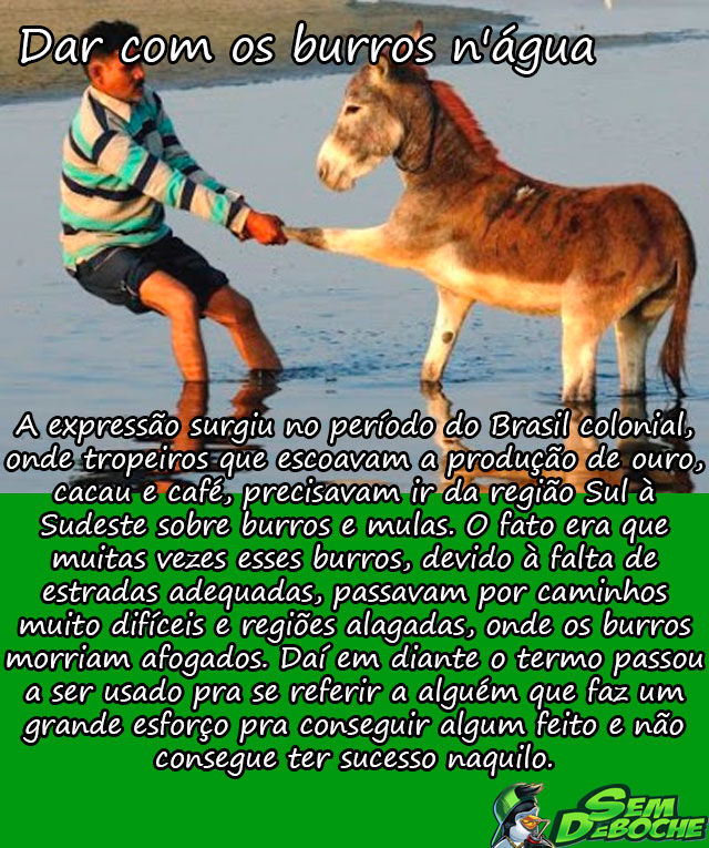 DAR COM OS BURROS N'ÁGUA DAR COM OS BURROS N'ÁGUA