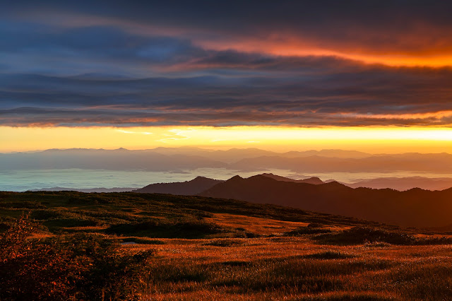 #photo #landscape #sigma #foveon #sdquattroh #japan #yamagata #tsuruoka #山形県 #鶴岡市 #山形帝國 #写真 #風景写真