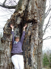 Cecelia Kane becoming an ancient maple