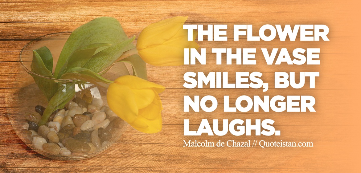 The flower in the vase smiles, but no longer laughs.