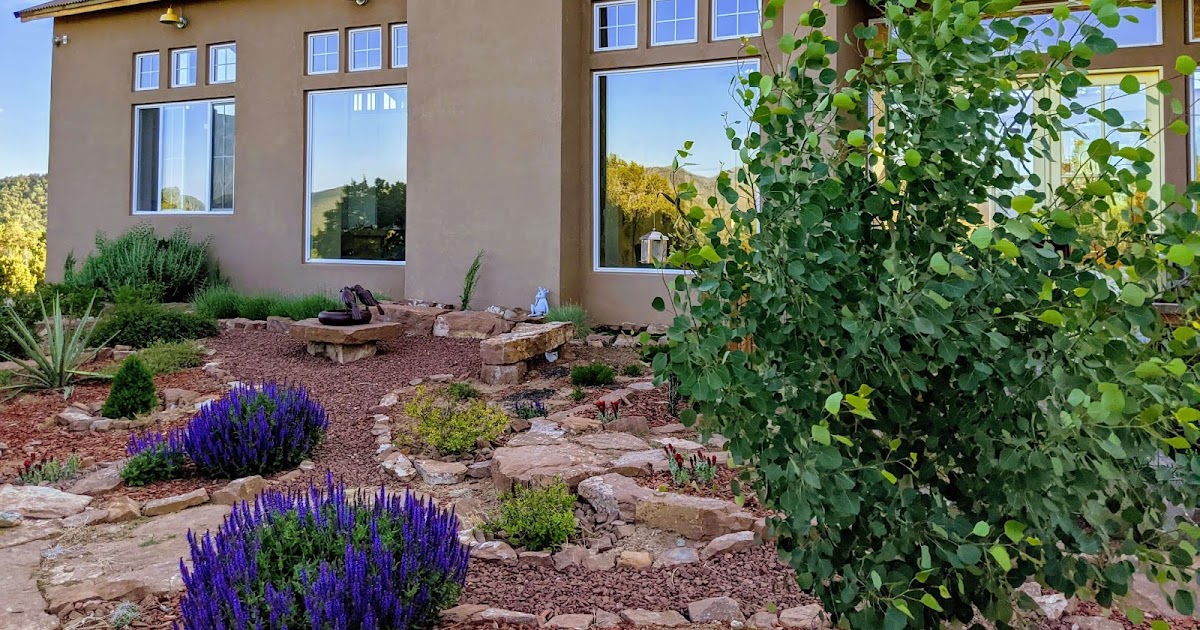 Our Garden in the NM Mountains