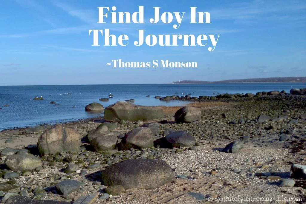 FInd Joy in The Journey