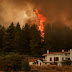     Ενημέρωση για τις πυρκαγιές:Η μάχη συνεχίζεται σε Εύβοια ,Φωκίδα και Ηλεία