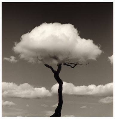 Doctor Ojiplatico. Chema Madoz. Arte y Trampantojo