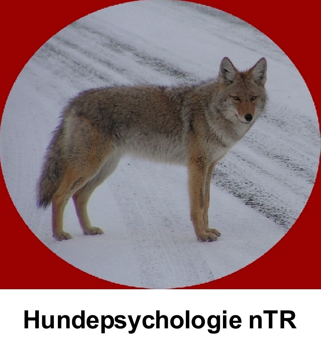 AUSBILDUNG HUNDEPSYCHOLOGIE nTR