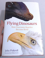 flying dinosaurs how fearsome reptiles became birds 1