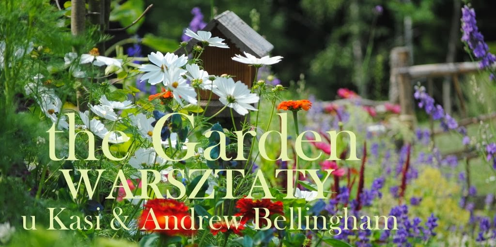 the Garden WARSZTATY u Kasi i Andrew Bellingham