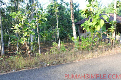 Tanah Murah Patuk Gunungkidul harga 200jt an Tanah Murah Patuk Gunungkidul