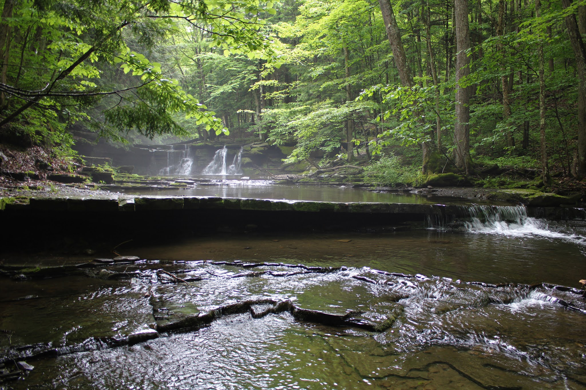 Walking Man 24 7 Schoharie Creek Preserve(Town of Charleston