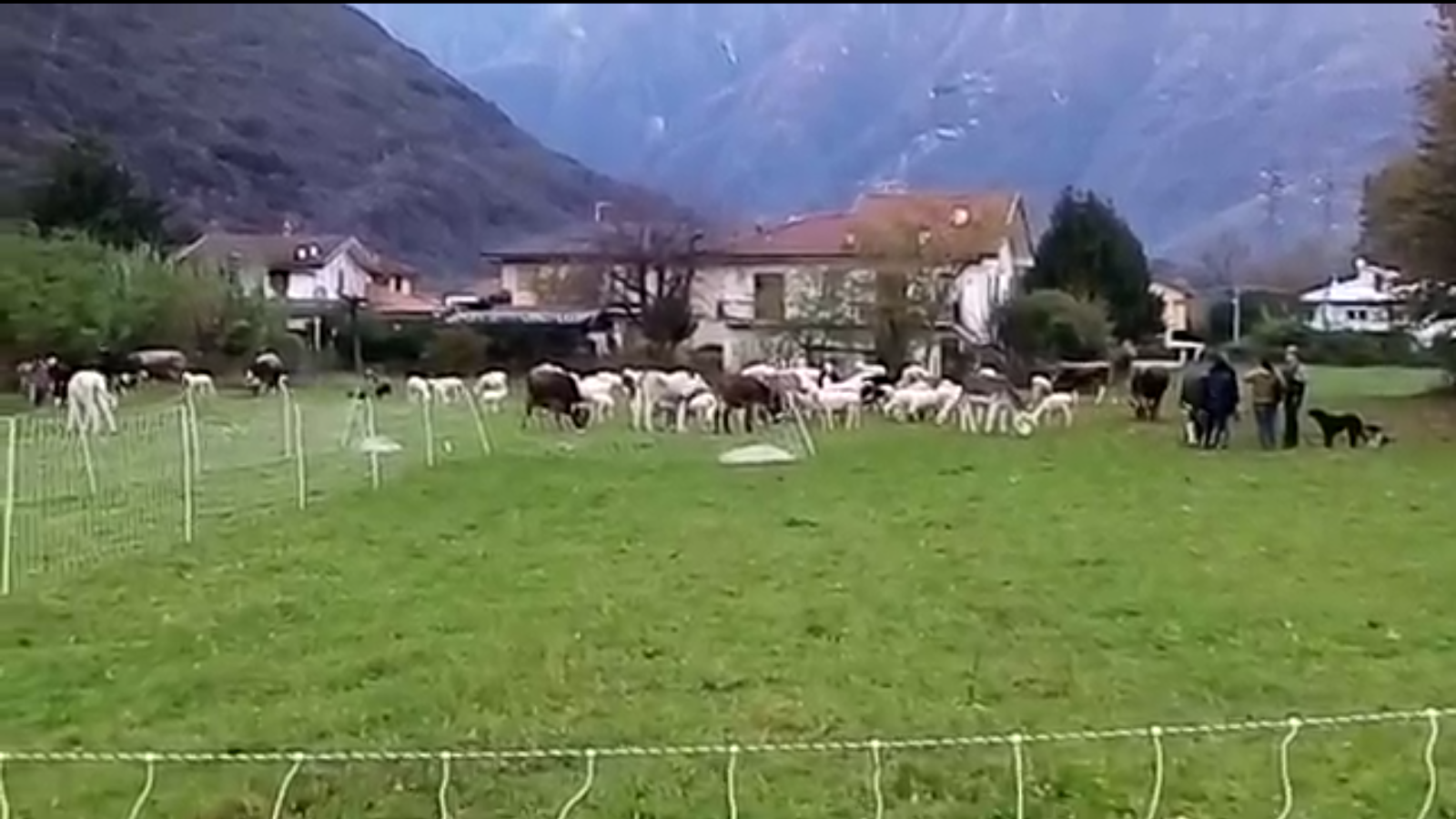 Buongiorno Gravellona Toce Gravellona Toce, é