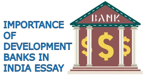 Importance of Development Banks in India essay