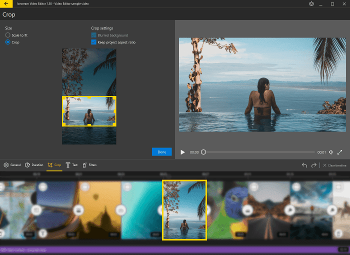 Icecream Video Editor Pro 2.70