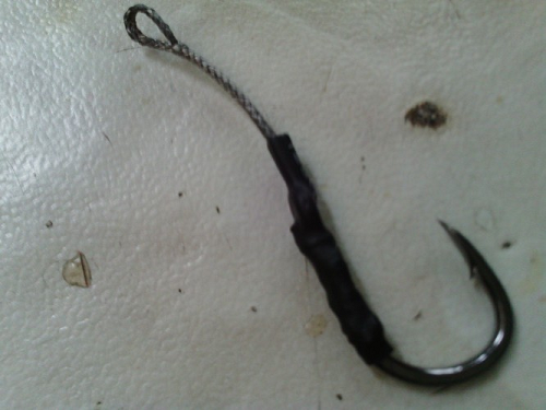 Tips Memilih Kail Pancing Untuk Memancing Ikan Mas Aneka