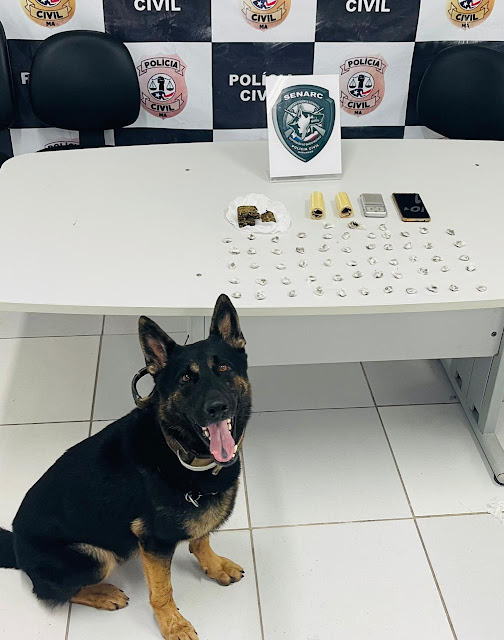 Nas primeiras horas da manhã desta quarta-feira(2), a Polícia Civil do Maranhão deflagrou a “Operação Olímpica” no intuito de combater a criminalidade, bem como de prender integrantes de organizações criminosas que atuam no bairro da Cidade Olímpica, em São Luís.