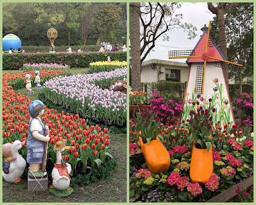 中壢社大週四趴趴走.2021首站士林官邸-鬱金香展(荷你相遇)