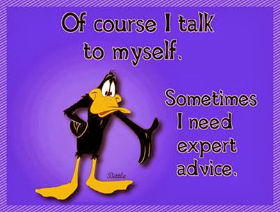 Daffy+Duck+seeks+expert+advice+by+talkin
