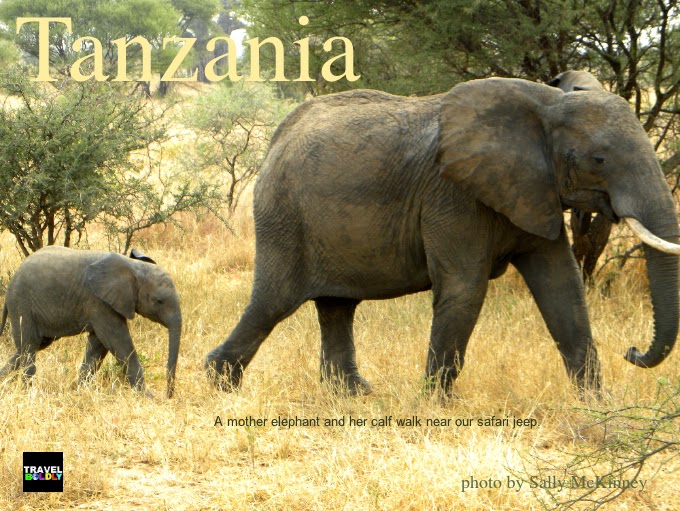 Mother elephant & calf safari, Tanzania, Africa. Photo Sally McKinney for TravelBoldly.com