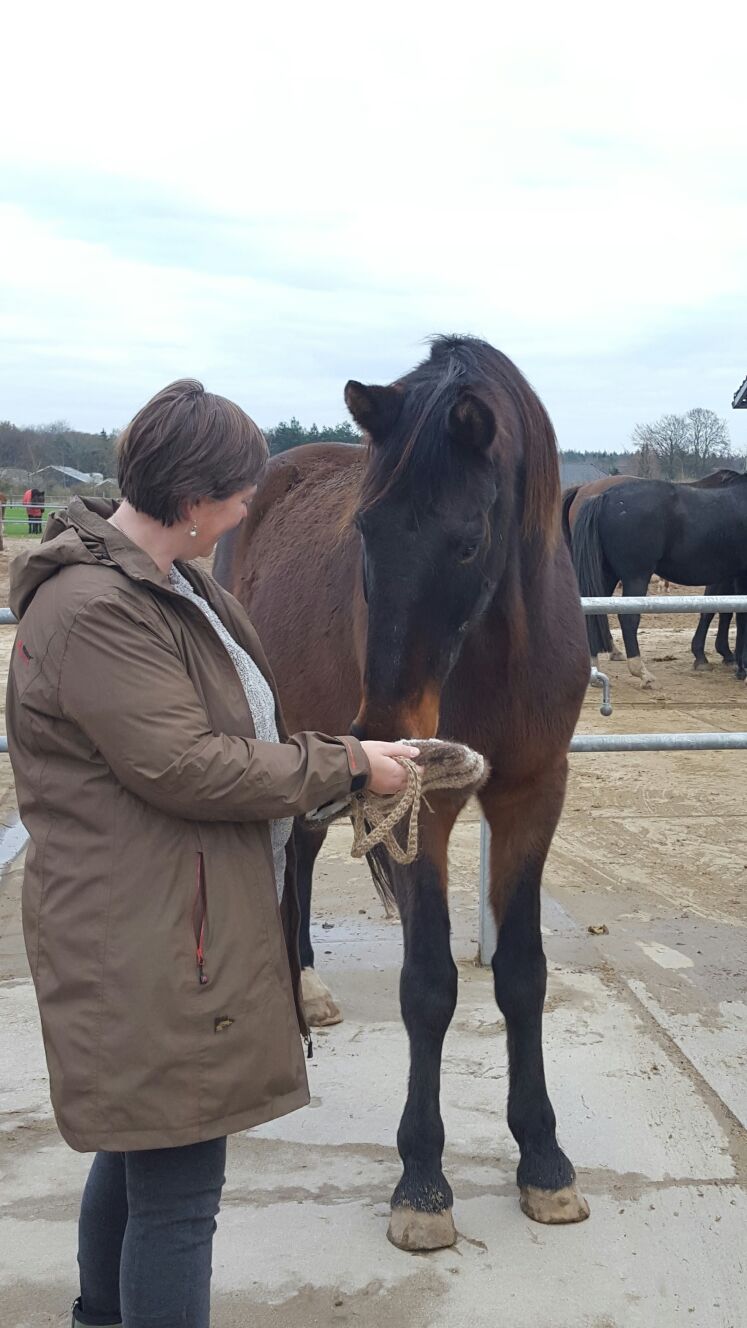 Journal of Ravenseyrie Horse Hair Yarn Spinning Rudolf