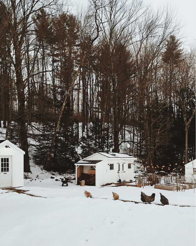 Dream Life On A Budget: A Tiny Cabin And Pottery Studio In The Woods