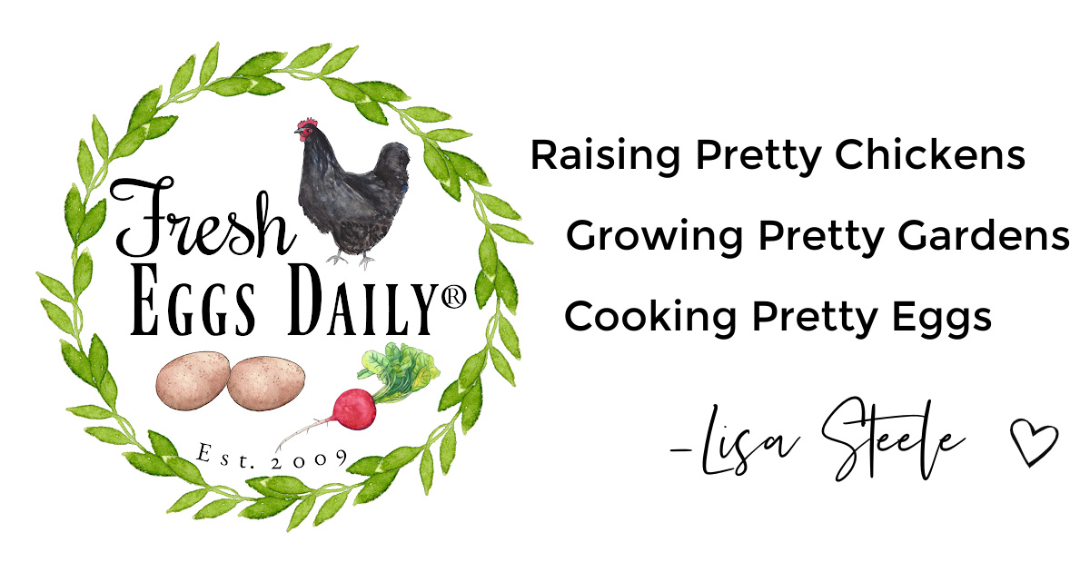 Lemon Fried Eggs - Fresh Eggs Daily® with Lisa Steele
