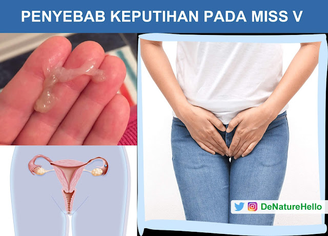 Penyebab Keputihan Berlendir Kekuningan Pada Wanita dan Obatnya Penyebab Keputihan Berlendir Kekuningan Pada Wanita dan Obatnya