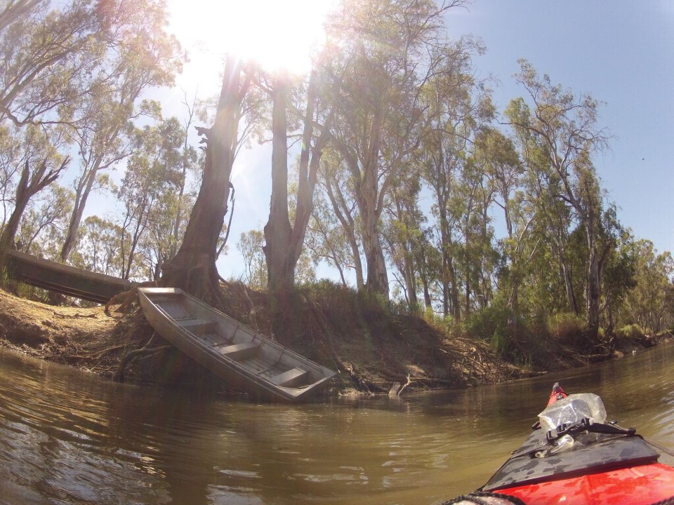 Murray River Kayak. Day 4 1545 to 1489 km to the sea Barham