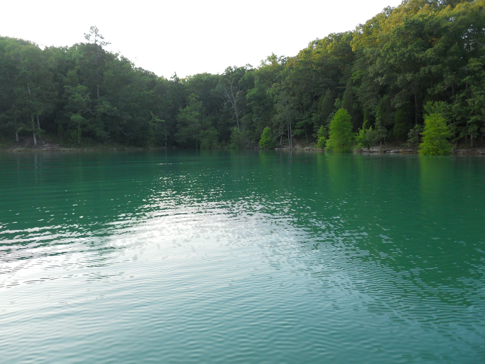 Go on the Cheap Norris Lake