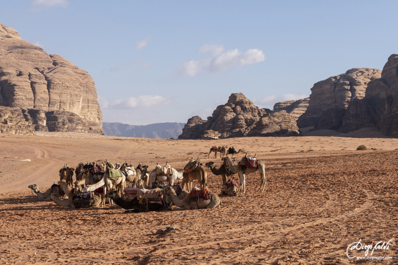 Excursión en el desierto de Wadi Rum - Las Tierras rojas de Jordania (8)