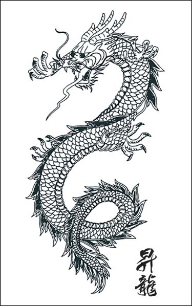 TATTOOS: Dragon Tattoo Stencils # 4