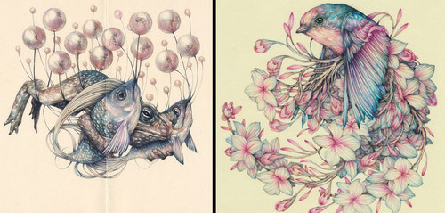 00-Animal-Drawings-Marco-Mazzoni-www-designstack-co