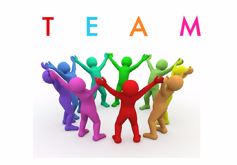 Project team building