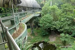 pusat primata schmutzer kebun binatang ragunan jakarta