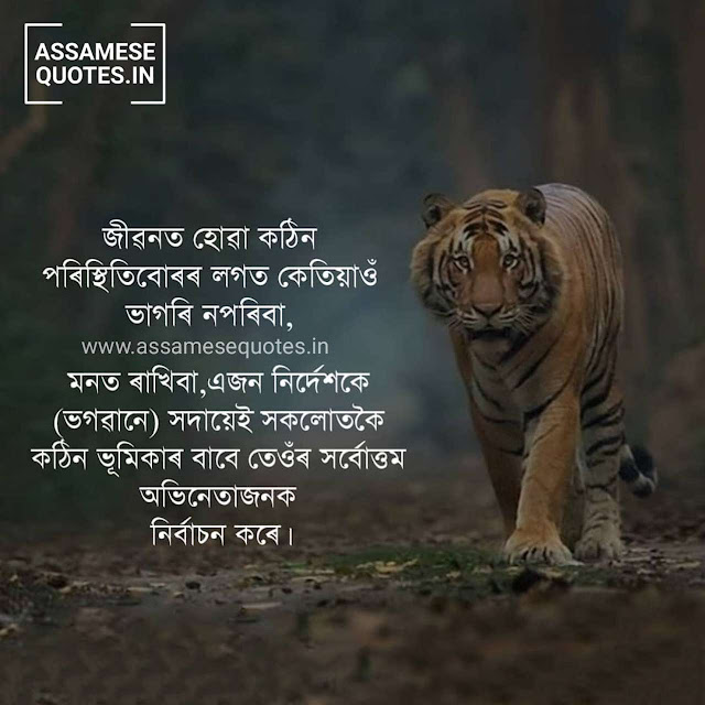 20+ Best Assamese Heart Touching Quotes Picture Status download for