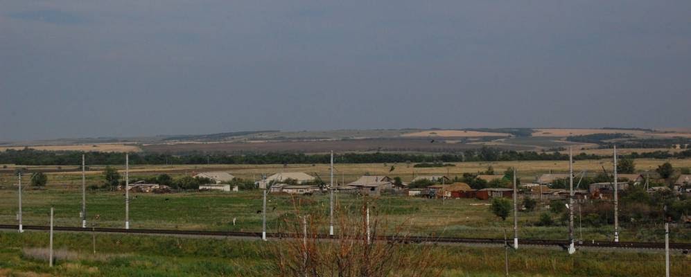 терновка камышинский район лес. антиповка камышинский район волгоградская область.