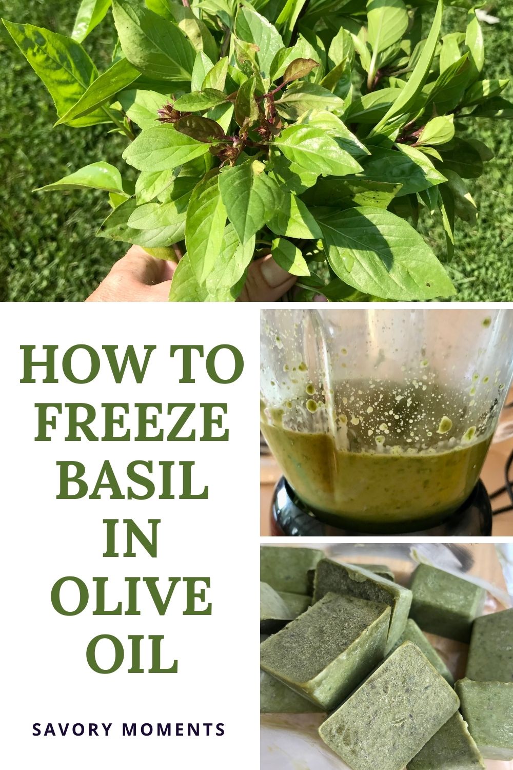 Savory Moments How to freeze basil in olive oil