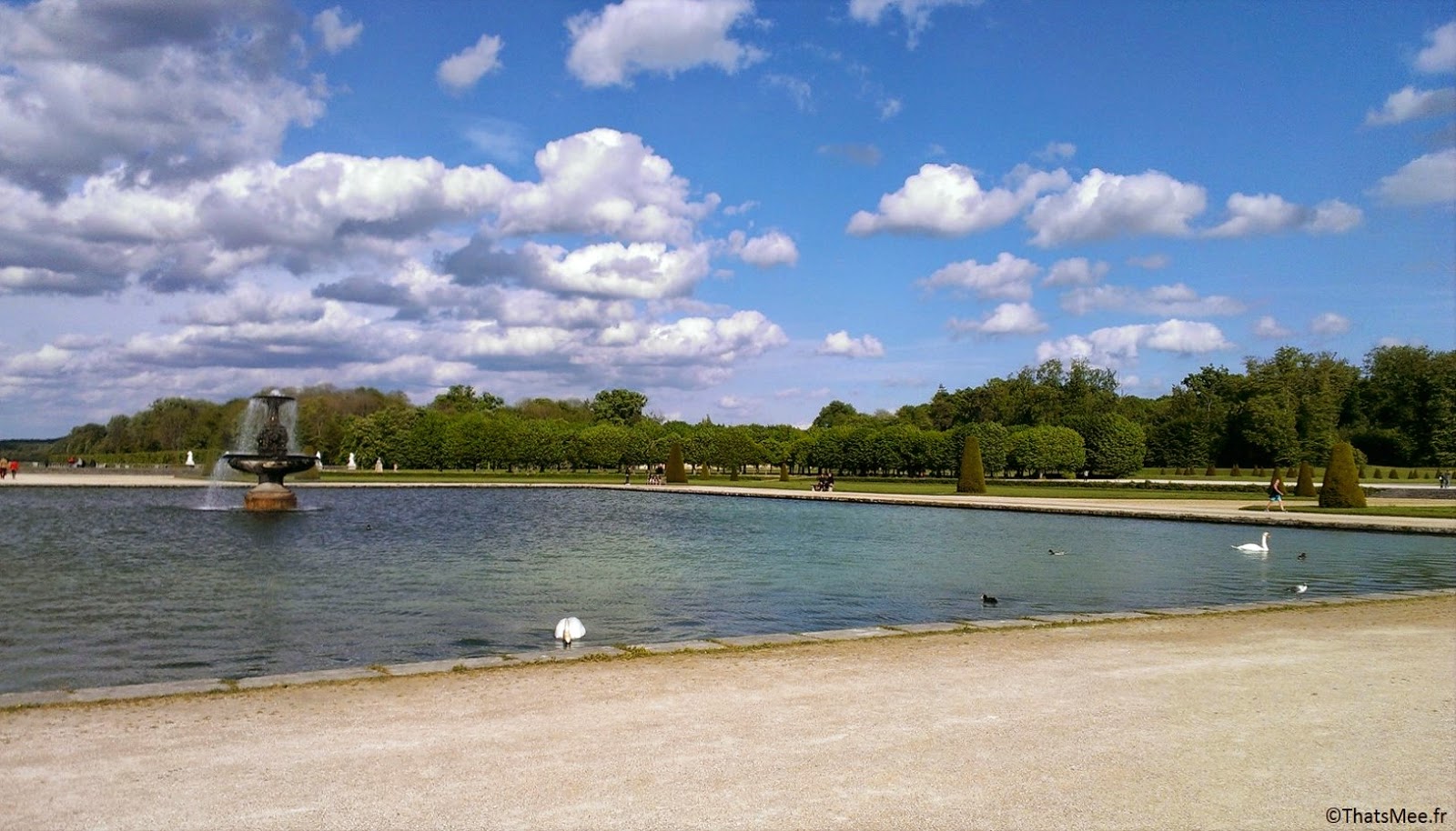 tarpons lac Chateau Fontainebleau carpes poissons