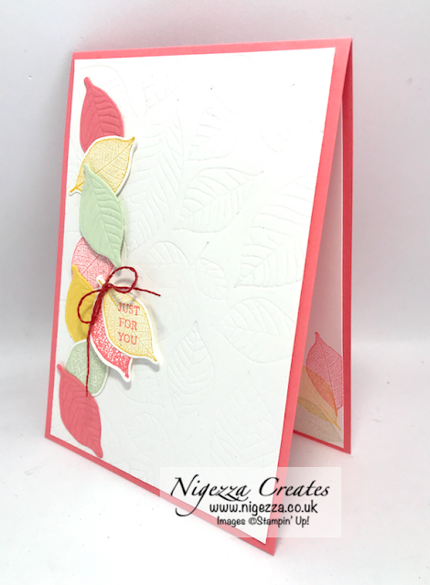 Nigezza Creates with Stampin' Up! Rooted in Nature Colour Combo June Blog Hop