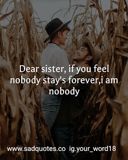 Brother and sister quotes and status Brother and sister quotes and status