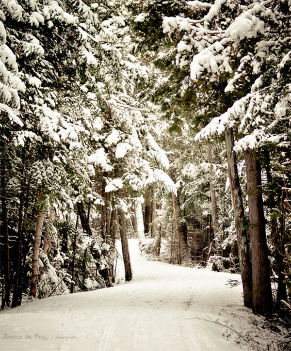 {holiday inspiration : candlelight and firelight and mistletoe}