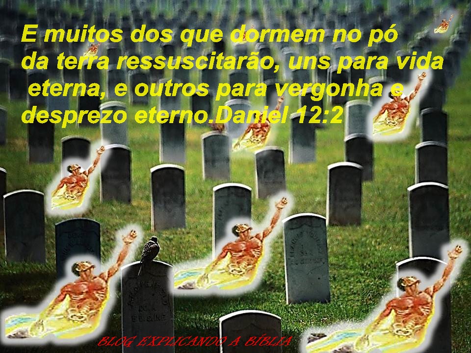 translate que significado translate que significado