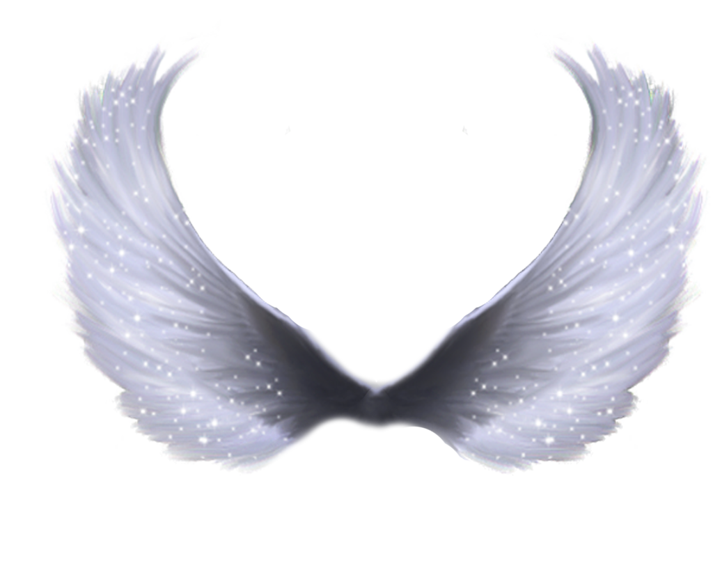 Royal Editor Chintu: Full hd wings png by me