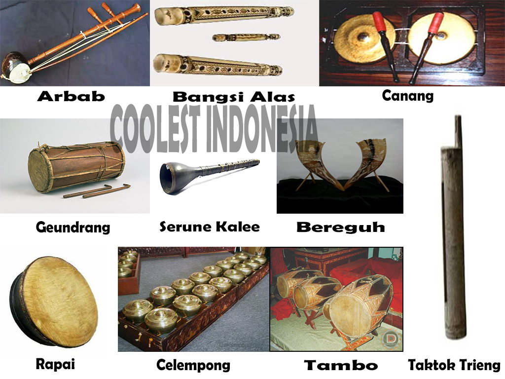 complete list of traditional musical instruments, and folk songs on the