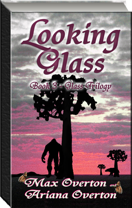 GLASS 3 BOOK