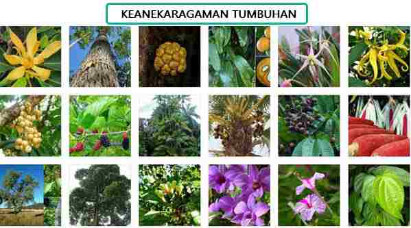 Karyaku Prestasiku Kliping Kekayaan Bangsaku